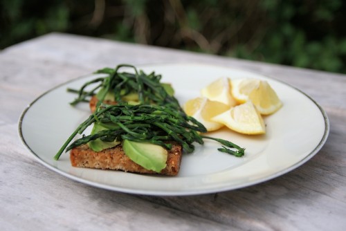 Humlesnack med avocado og citron. Foto: Jørgen Peter Kjeldsen/<a href="http://ornit.dk/">ornit.dk</a>.