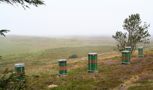 Moderne bistader placeret i Tved Plantage på kanten af Hanstedreservatet. Foto: Jørgen Peter Kjeldsen/<a href="http://ornit.dk/">ornit.dk</a>.