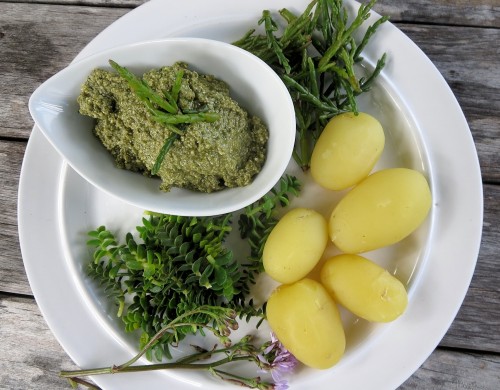 Salturtpesto med nye kartofler. Foto: Mie Buus/Museum Thy.